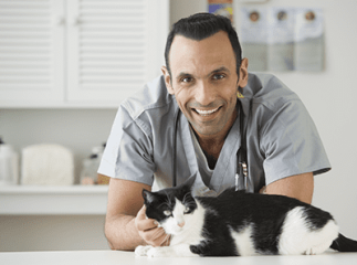 La toxoplasmose